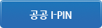 공공 I-PIN