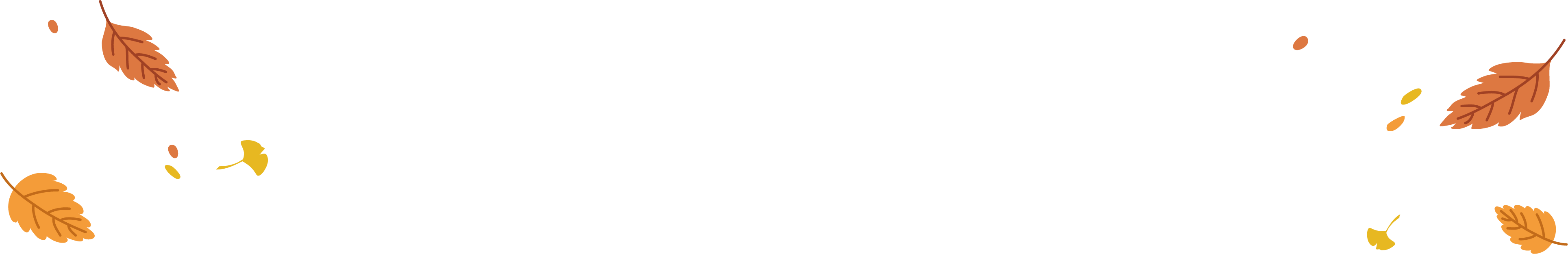 icon4